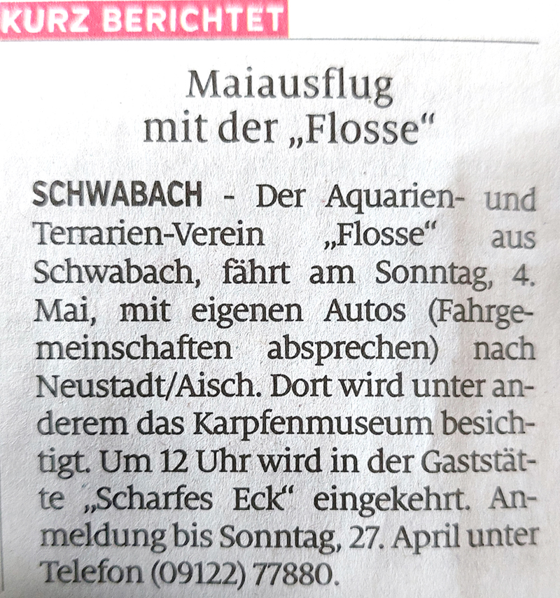 Maiausflug